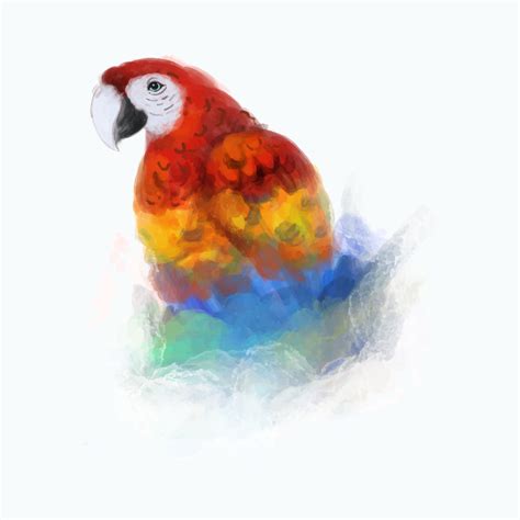 Watercolor Macaw bird isolated on a white background 13444872 Vector ...