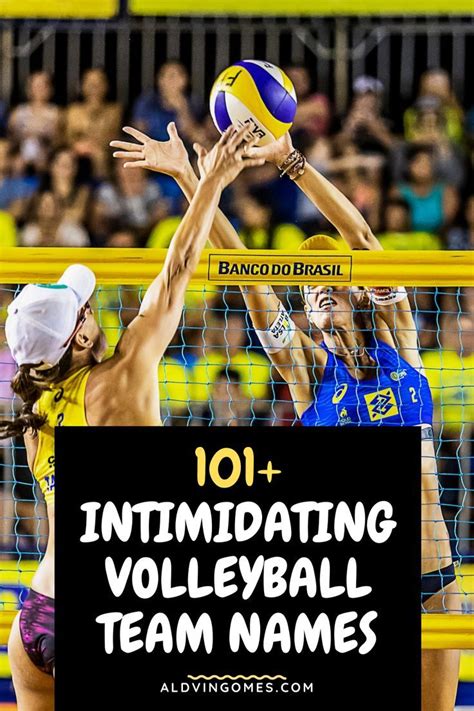 101+ Intimidating Volleyball Team Names You Can't Miss! - Aldvin Gomes ...