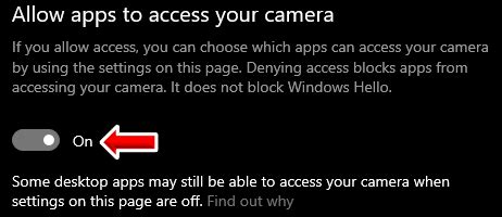 Camera Privacy Settings - Windows PC : Paltalk Support