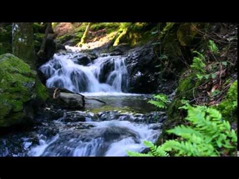 10 Hours Waterfall Sounds - YouTube