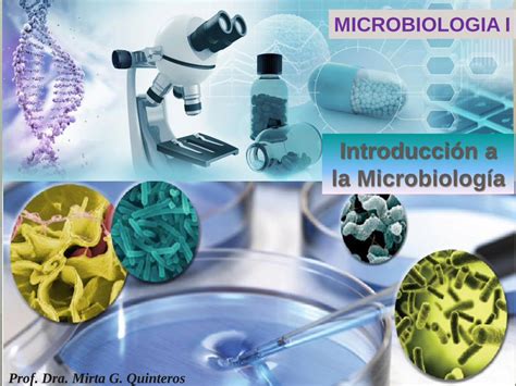 Pdf Microbiologia I Microred Files Wordpress Dos Grandes