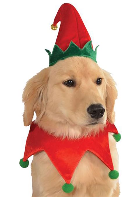 Dog Elf Costume Kit