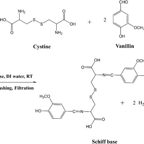 Schematic Of Synthesized Polyurethane Crosslinked With Schiff Base Spu