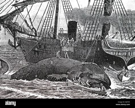 Whaling 19th Century