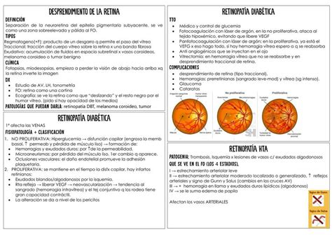 Desprendimiento De La Retina Karine Bacellar Udocz