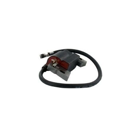 Bobine D Allumage BRIGGS Et STRATTON 592846 799651