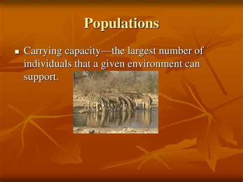 PPT - Biotic and Abiotic Factors PowerPoint Presentation, free download ...