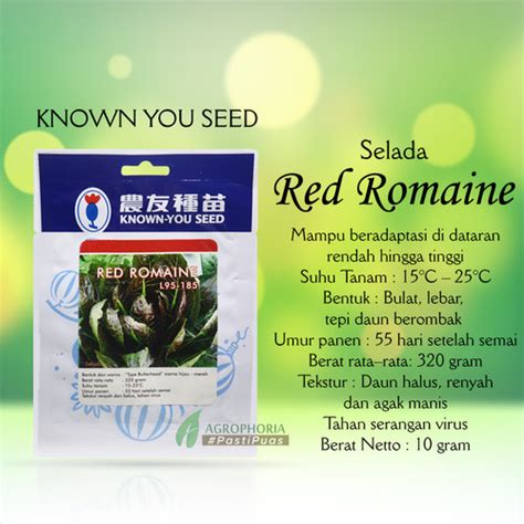 Jual Benih Selada Red Romaine Gr Known You Seed Kota Tangerang