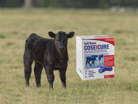 Bimeda UK Adds New Trace Element Bolus To Its Range CoseIcure Calf News