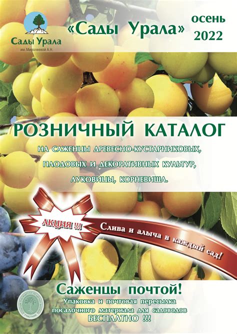 PDF Каталоги