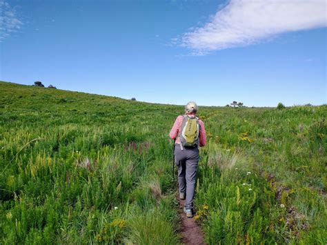 Hiking the Lincoln National Forest - Van Delicious