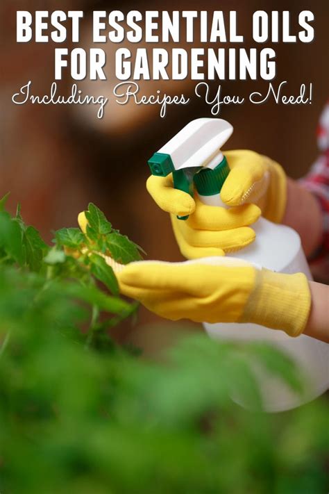 Best Necessary Oils for Gardening Plus Recipes