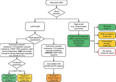 2018 Aha Acc Guideline For The Management Of Adults With Congenital