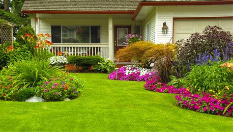 How to Grow a Lush, Green Lawn - Yelp