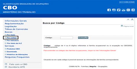Cbo Para Assistente Financeiro - Consultar CBO por nome ou código de ocupação profissional