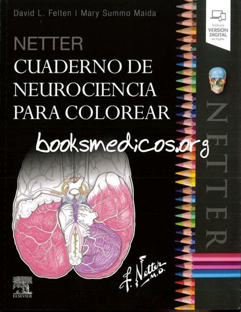 Netter Cuaderno De Neurociencia Para Colorear Studyland Udocz