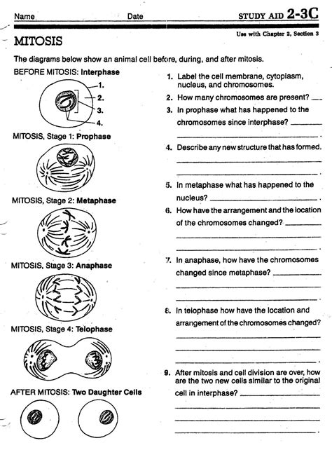 Meiosis Review Worksheet