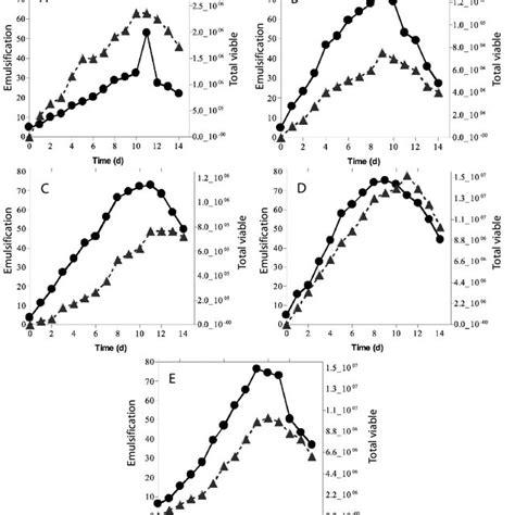 Population Dynamics • And Biosurfactant Production During