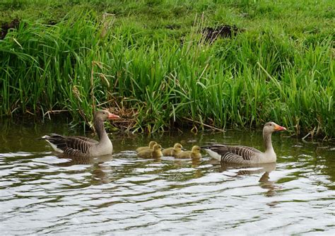 Kraamkamer Moeder Natuur RoutesinUtrecht