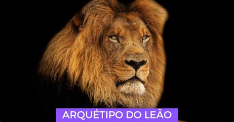 Arqu Tipo Le O Esperan A Coragem Lideran A E Autoestima