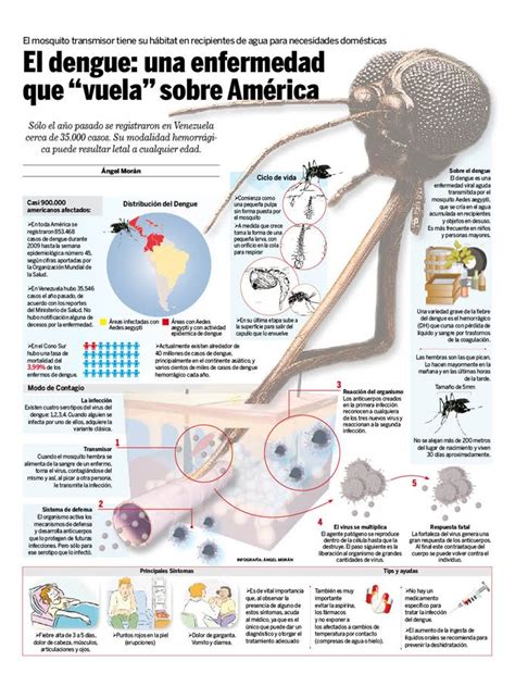 Mundo Infográfico El Dengue Infografía Angel Morán