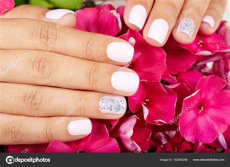 Hands With Short Manicured Nails Colored With White Nail Polish Stock