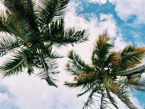 USVI School Counselor Association