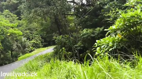 Fitri Kencing Lagi Outdoor Piss Free HD Porn 3e XHamster