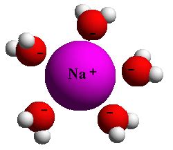 General Information - Sodium