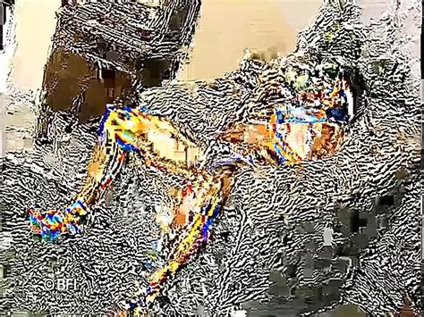 Free Swollen Pussy Porn Videos Xhamster