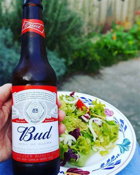 Пиво Бад и его особенности