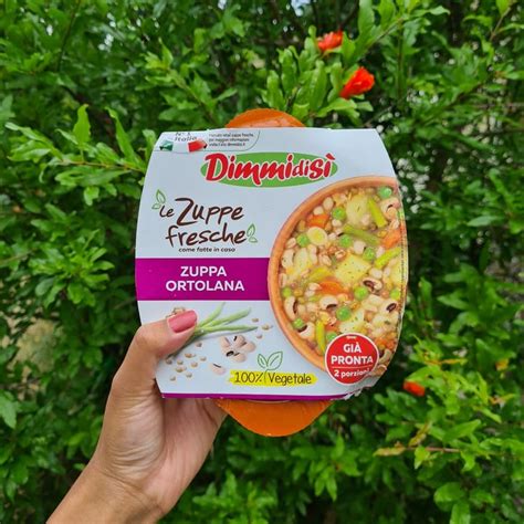 Dimmidisi Zuppa Ortolana Review Abillion