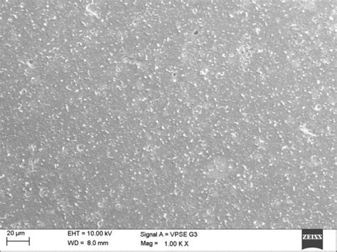 SEM Image Of A 6063 Aluminium Alloy In 0 5 M NaOH B 6063 Aluminium