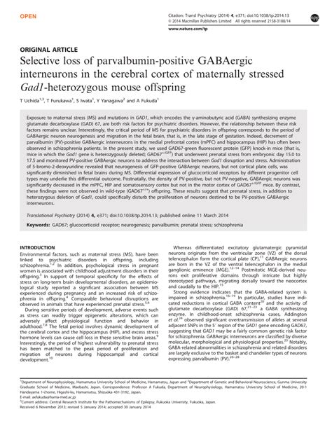 (PDF) Selective loss of parvalbumin-positive GABAergic interneurons in ...