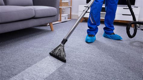 Your Ultimate Guide To Deep Cleaning Your Carpets