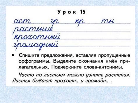 Чистописание. Повторение - презентация онлайн