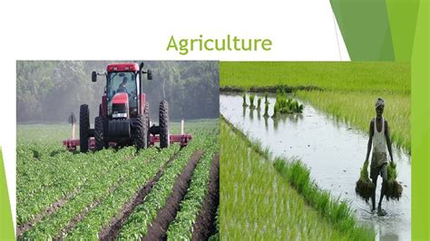 Agriculture Economic Activities 1 Primary 2 Secondary 3