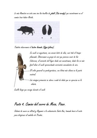 Cuaderno De Campo Fauna Senda De Picadas Pdf Descarga Gratuita