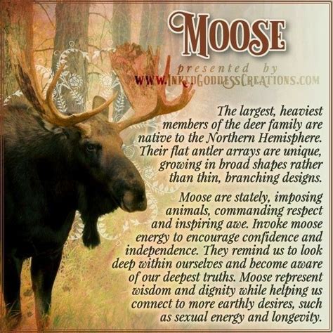 Pin By Louann Oberto On Animals Spirit Animal Meaning Animal Totem