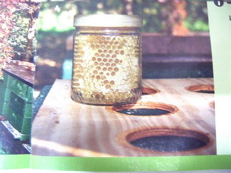 Comunidad de foros de Apicultura - Panales con secciones - Preguntas y ... 