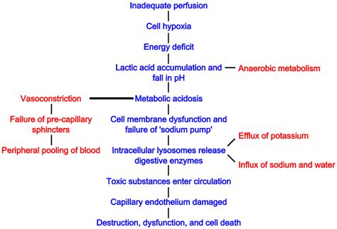 Hypovolemic Shock Stages