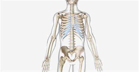 common bone diseases