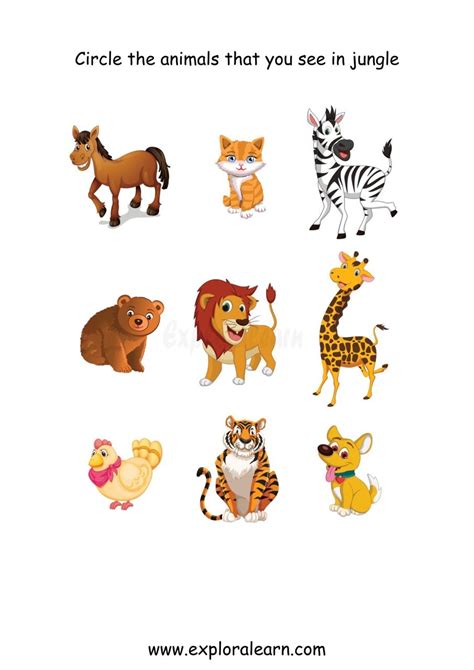 Explore Interactive Worksheets Animals Identification Habitats