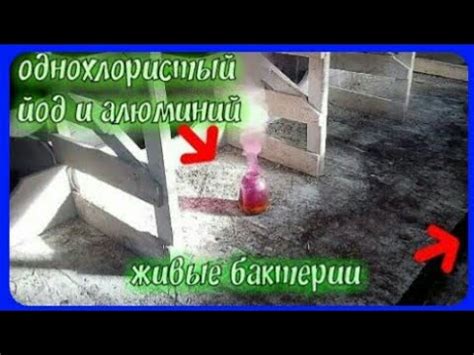 дезинфекция коровника лучшее средство для дезинфекции////хлористый йод ...