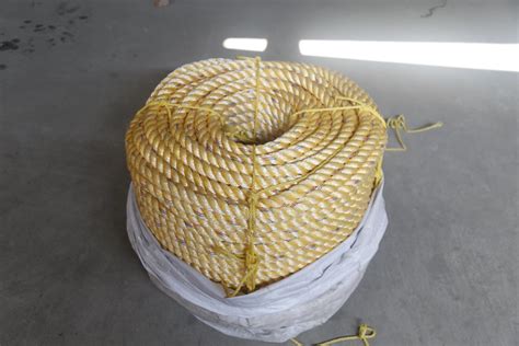 Nylon Rope Polypropylene Rope PP Danline Mooring Rope 3 Strands PP