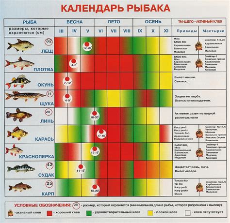 Календарь рыболова на 2020 год по месяцам и дням - таблица клева рыбы ...