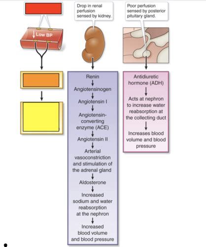 Patho Test Pt Patho Test Pt Patho Test Pt N Arterial D