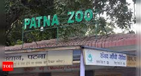 Patna Zoo: Patna zoo comes 4th in nat'l ranking | Patna News - Times of ...