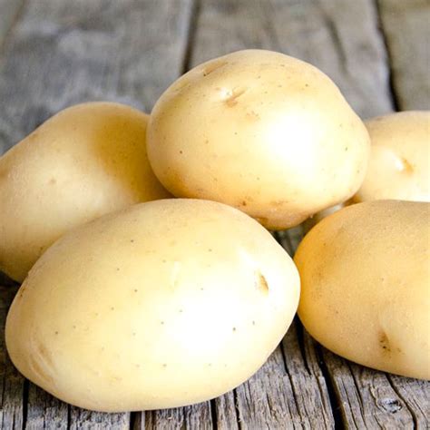 Насіннєва картопля "Сенсейшн" ( Сенсація) Голландія 1 репродукція ...