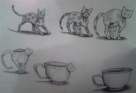 Metamorphosis Drawing (Art Project) by AutumnSpiritfriend on DeviantArt